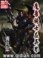 魔兽骑士在异界